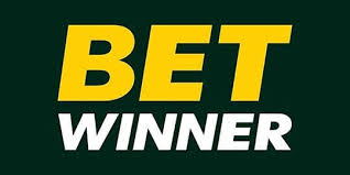 Discover the Exciting Betwinner Special Bonuses Discover the Exciting Betwinner Special Bonuses